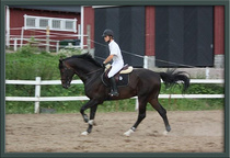 SILVERCUP synt. 2002