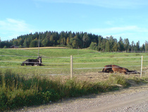 Hampton: Hei, Armani! Herää!